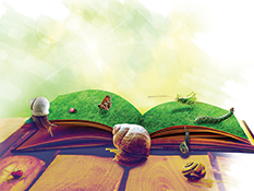 Snails, a butterfly, and a caterpillar on an open book with grass growing out of it.